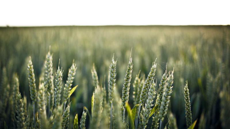 Introduction to Distributed Training