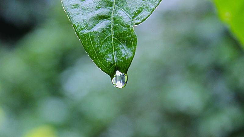 Multi-Cloud Strategy for AI Workloads